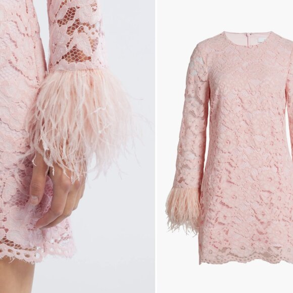 Likely Lorie Feather Trim Long Sleeve Lace Mini Dress in Rose Shadow NWT - Picture 4 of 11